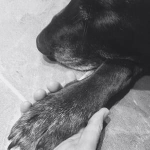 Meet your Posher, Cindy solberg